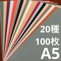 特殊紙　詰め合わせ　A5　20種　100枚セット　【NTラシャ多め】