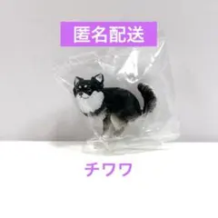 チワワ カプセルトイ