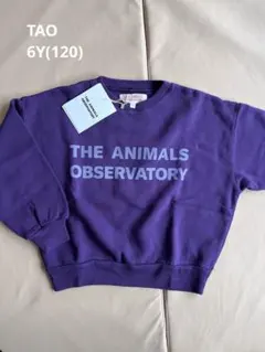 THE ANIMALS OBSERVATORY ロゴパープルスウェット6Y