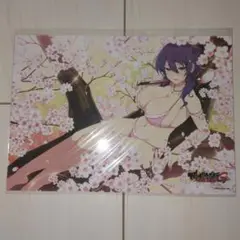 閃乱カグラ NewWave Gバースト 第4弾 銀塩ブロマイド【凜 1】