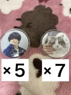 すとぷり　さとみくん　ワンマン　缶バッジ　実写　猫　やまとくん