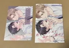 高比良りと　先生　優しくイジめて溶かして混ぜて 特典　小冊子　リーフレット