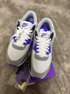 Nike Air Max ホワイト/グレー/パープル　CD0881104