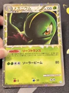 メガニウム　グレート　009/070