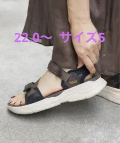 2026年最新】IENA別注 tevaの人気アイテム - メルカリ