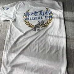高崎高校バレーボールチーム シャツ