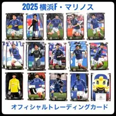 2026年最新】横浜F・マリノスオフィシャルトレーディングカードの人気