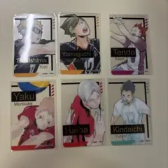 ハイキュー　ファンパーク　箔押しクリアカード