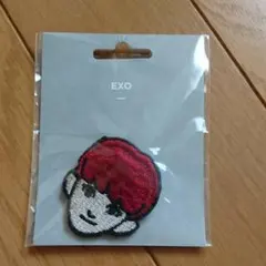 2026年最新】exo ぬいぐるみ チャニョルの人気アイテム - メルカリ