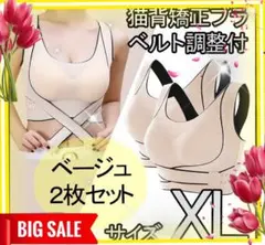 Item thumbnail for item 3d5c29d5-282f-4f67-b5e5-87b558a4db55