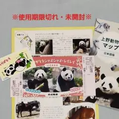 シャンシャン様 リクエスト 2点 まとめ商品