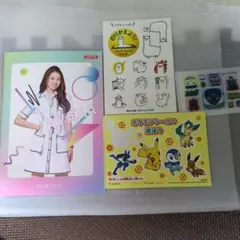 Item thumbnail for item b2f05ea6-5e8f-4313-82ce-efc2bf9c639b