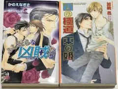 98(BL小説)2冊セット　新書