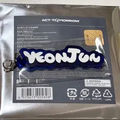 ヨンジュン アクリルチャーム