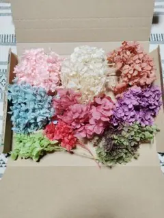 Item thumbnail for item e45a75d8-d901-46d1-9490-9f76faa5a007