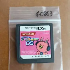 NOVAうさぎのゲームde留学!？DS