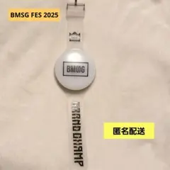 BMSGフェス'25 ライトバンド GRAND CHAMP - メルカリ