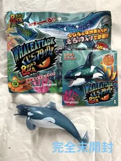 シャチ　くじらアタック　アンドコWHALEATTACK&co