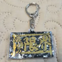 匿名配送】いだちゃんねる いだの政治資金パーティー 光るお守り