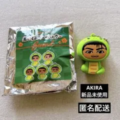 EXILE THE SECOND AKIRA 着ぐるみ キーホルダー 巳　新品