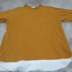 A DAY IN THE LIFE ユナイテッドアローズ tシャツ M