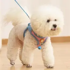 Item thumbnail for item c31c02db-f5e9-4735-80ae-87ae319a02ff