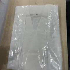 Item thumbnail for item db918752-5ea3-4138-9e43-f6ab6b74d525