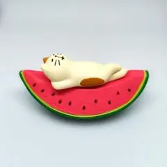 コンコンブル　スイカですやすや猫