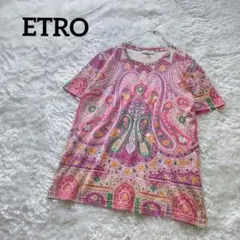 【美品】ETRO エトロ ペイズリー柄 ボタニカル Tシャツ 42のサムネイル