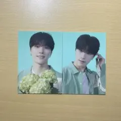 HANABI ディノ トレカ セット