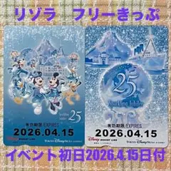 ★リゾラ★フリーきっぷ★TDS★25周年★ディズニーリゾートライン★期限切れ★