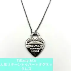 【人気希少】Tiffany &Coリターントゥハートタグネックレス⭐︎社外チェーン