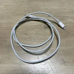 Item thumbnail for item 32fe172d-93ee-464f-b1a0-529efda0b8a4