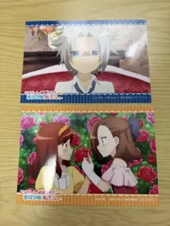 はめふら ブロマイド 2枚セット