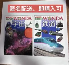 もって歩けるPOCKET WONDA