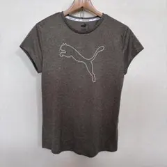 美品　プーマ　ランニング　Tシャツ L