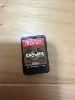 ティアキン ケースあり