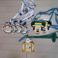 アクセサリに使える　東京ディズニーリゾート チケットホルダーなど３種類全7個