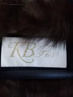 Item thumbnail for item 410906a3-6c58-4a86-b1fb-06b48b0f1a73