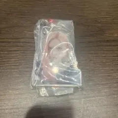 IVE ガウル アクリルビーズチャーム