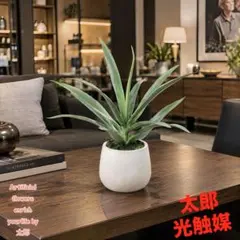光触媒 人工観葉植物 フェイクグリーン カレックスポット ボールグラス 