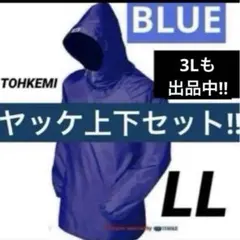 Item thumbnail for item 66392c0b-b8d0-4876-9a52-2723984ae43c