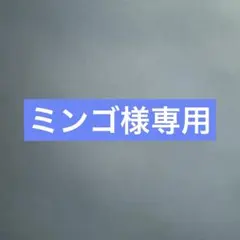 ミンゴ様専用　学園アイドルマスター フィギュア 2体セット