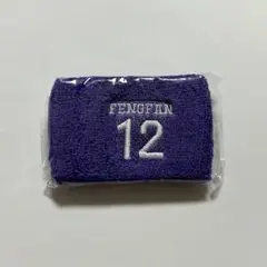 INI XQUARE MASTERPIECE カプセルトイ リストバンド 許豊凡