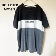 HOLLISTER ロゴ Tシャツ Mサイズ ブラック/ホワイト1-34