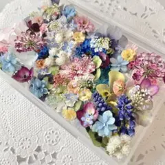 No.172 小花のドライフラワーセット