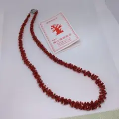 赤いサンゴ ネックレス 銀色留め具付き