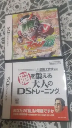 NintendoDSソフト２本セット