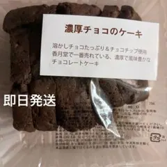 香月堂 濃厚チョコのケーキ チョコチップ入り 大容量
