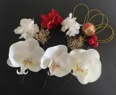 胡蝶蘭髪飾り　結婚式　成人式　七五三　髪飾り　豪華レッド11本 水引　g